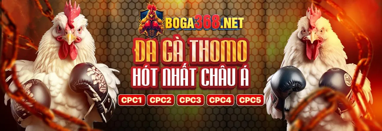 Đội ngũ chuyên gia ok83860