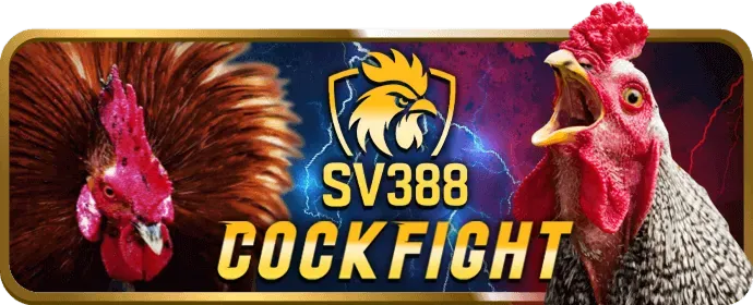 Cá cược Thể Thao ok83860
